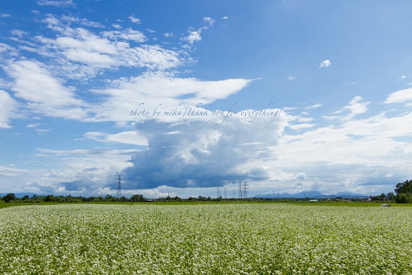 e0347334_23182877.jpg