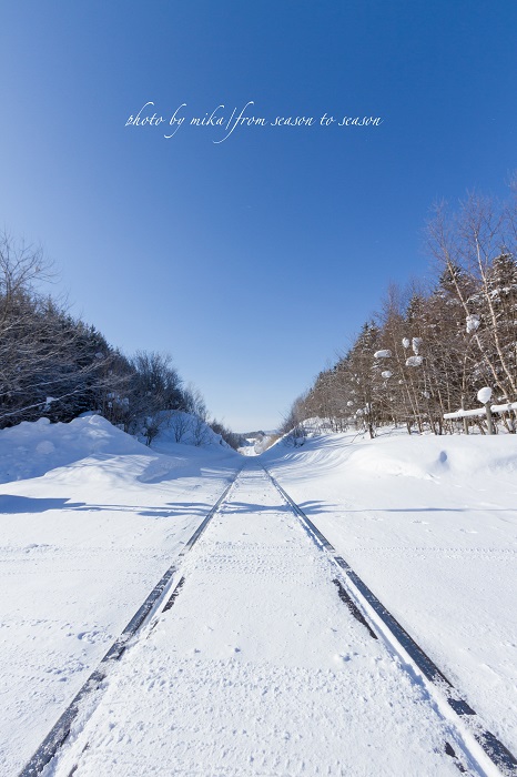 e0347334_23195196.jpg