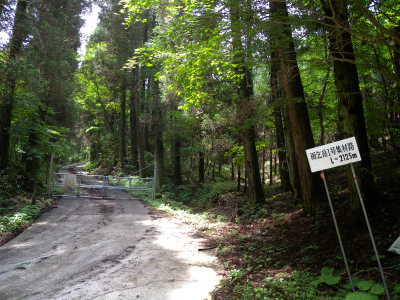 e0272335_20362933.jpg