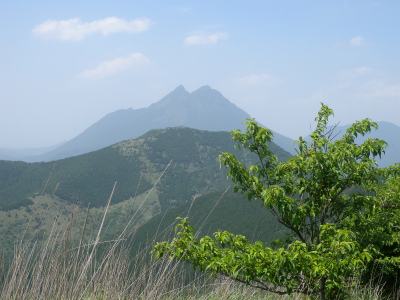 e0272335_2112436.jpg