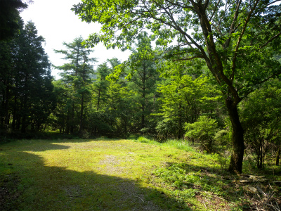 e0272335_21201462.jpg