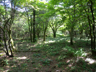 e0272335_2154719.jpg