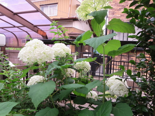b0301236_04272425.jpg