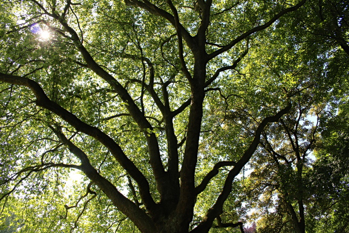 c0153740_21224897.jpg