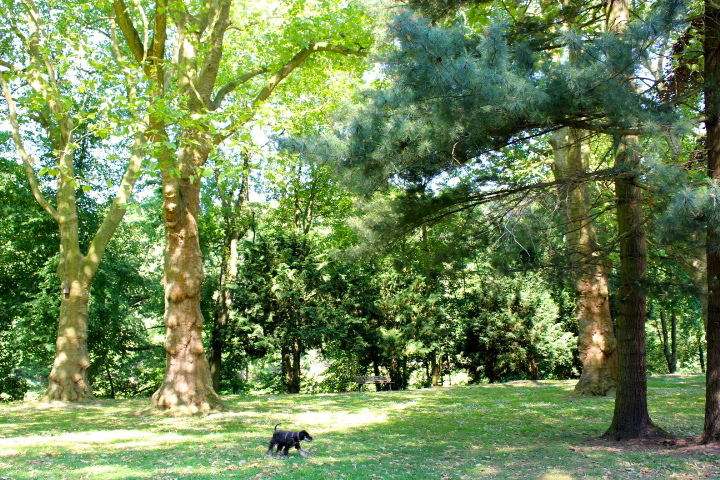c0153740_21263213.jpg