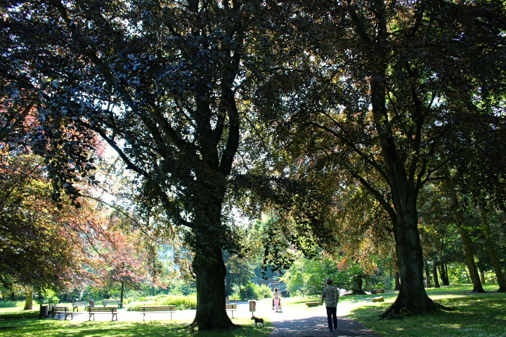 c0153740_212698.jpg