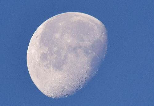 c0339546_1033268.jpg