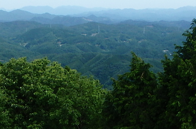 c0339546_1062560.jpg
