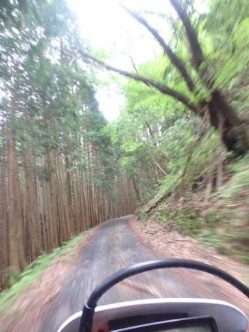 c0339546_1073265.jpg
