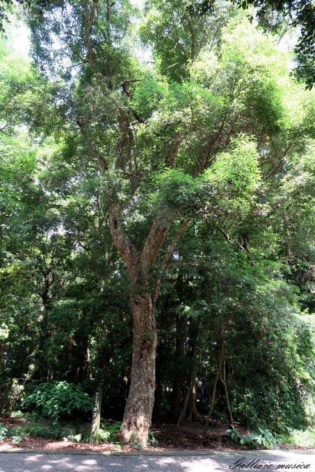 f0351853_22163746.jpg