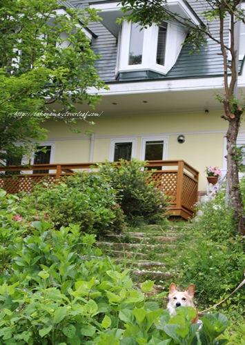 f0184055_11452145.jpg