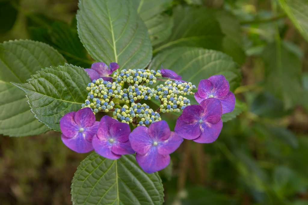 f0044056_20470632.jpg