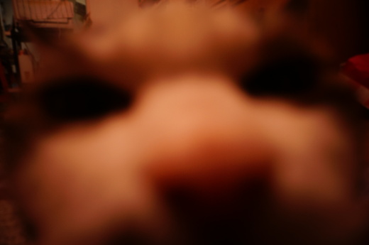 f0257756_1473060.jpg