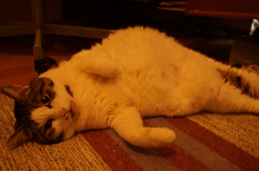 f0257756_1503528.jpg