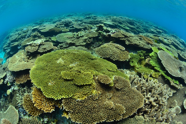b0062363_9482977.jpg