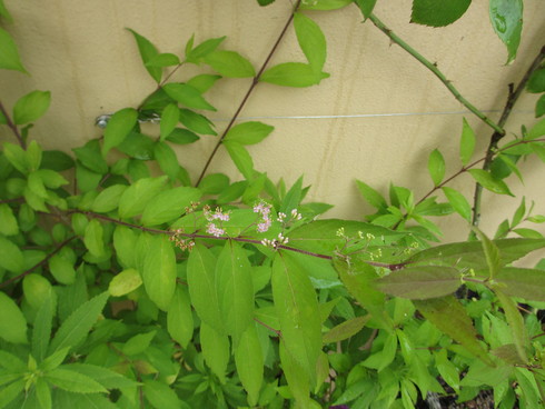 a0243064_1038241.jpg