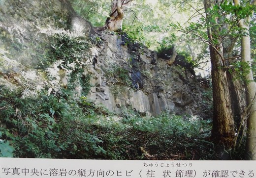 e0145782_18535549.jpg