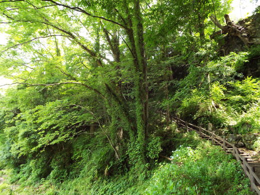 e0145782_18565999.jpg