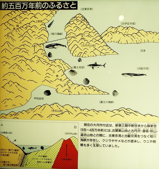 e0145782_18582093.jpg