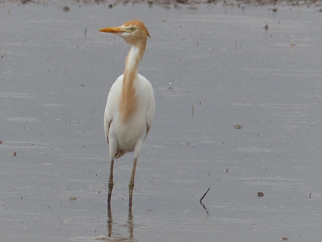 f0357487_13402165.jpg