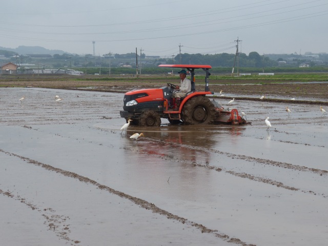 f0357487_218798.jpg