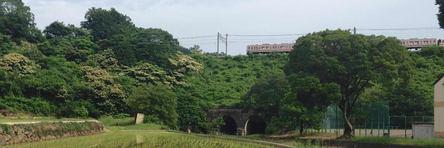 c0170789_11143294.jpg
