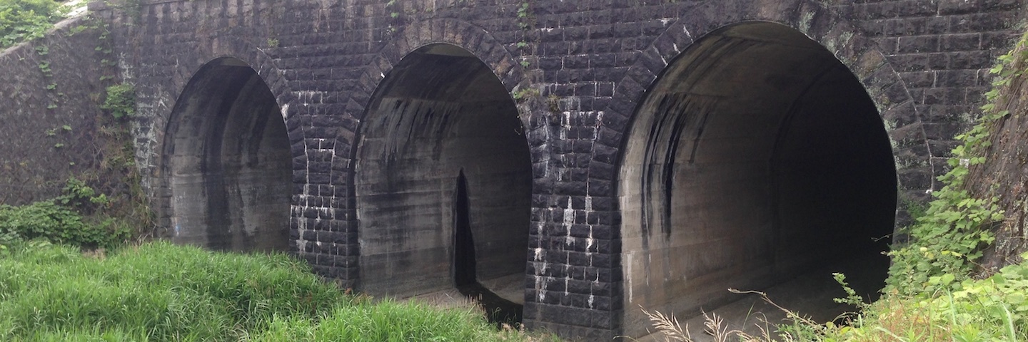 c0170789_11181119.jpg