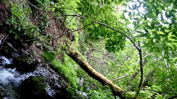 b0192199_09063494.jpg