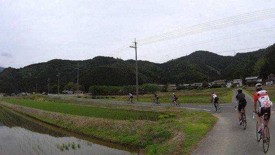 b0118001_6411153.jpg