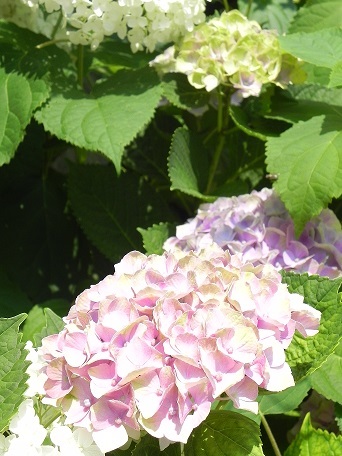 c0152002_18122043.jpg