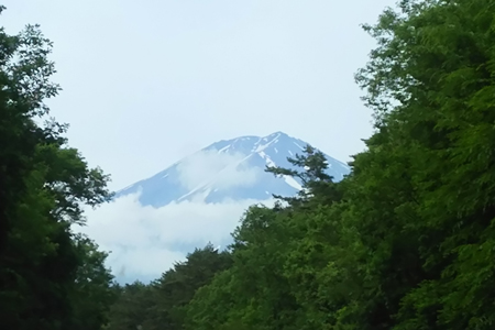 d0197602_19261960.jpg
