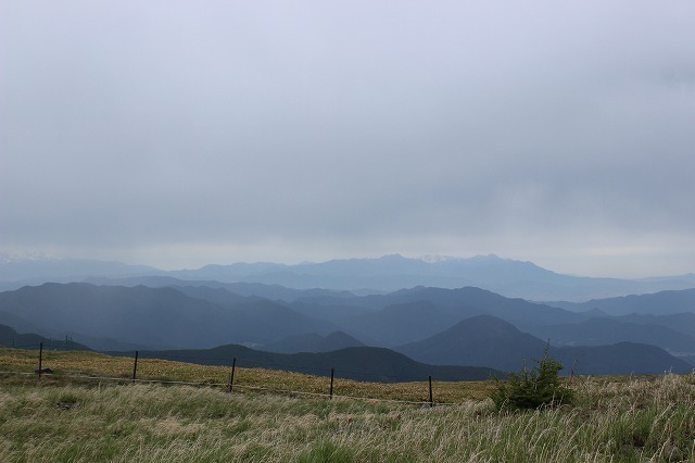 b0199304_23291628.jpg