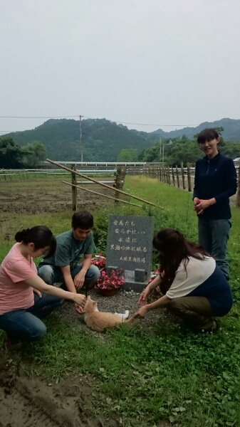 b0187620_20585497.jpg