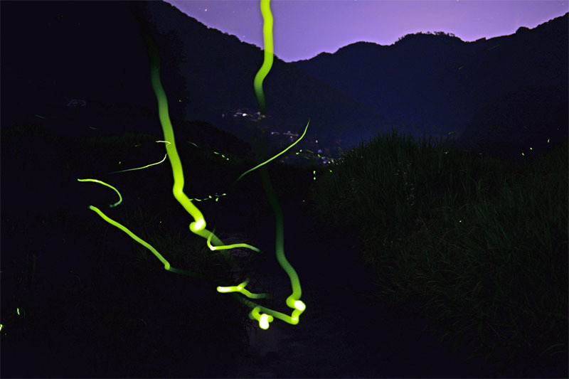 d0029829_10010642.jpg