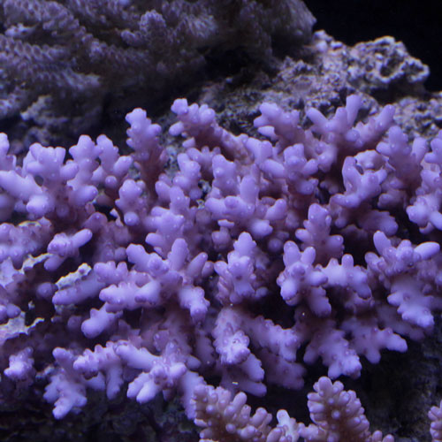 d0221436_20453430.jpg