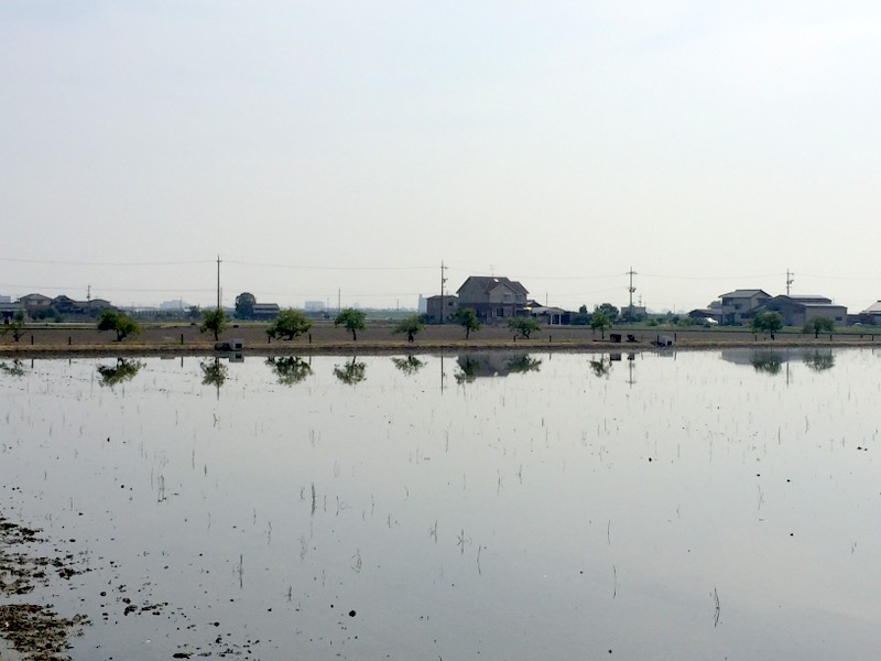 b0057140_16585242.jpg