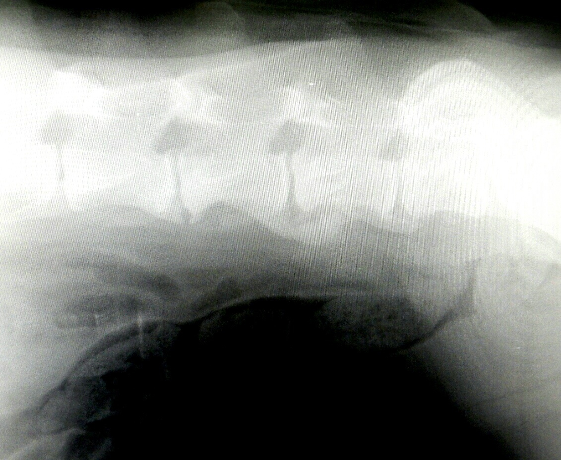 a0142343_14540837.jpg