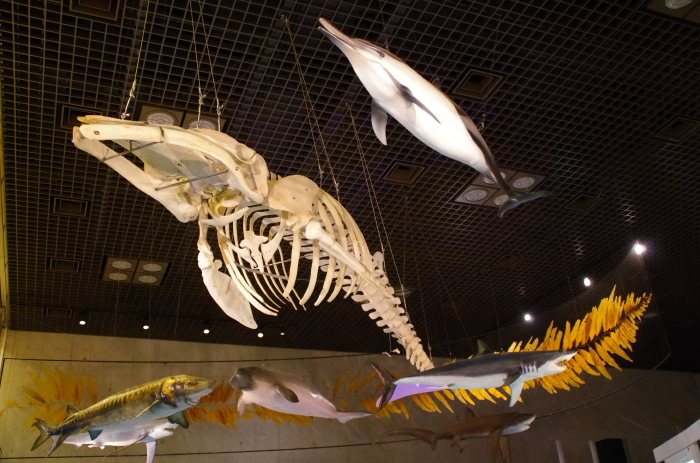 e0262946_23024149.jpg