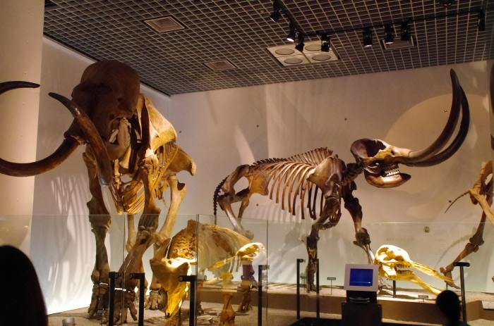 e0262946_23025203.jpg