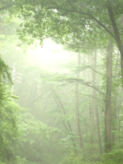 c0343447_8271431.jpg