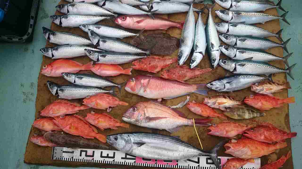 a0248152_18124692.jpg