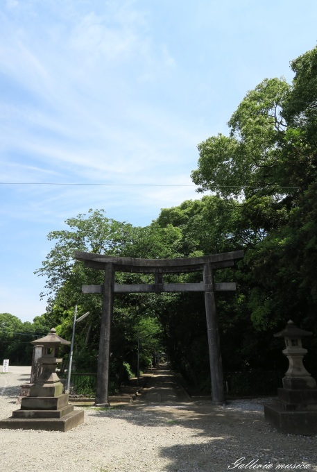 f0351853_18415046.jpg