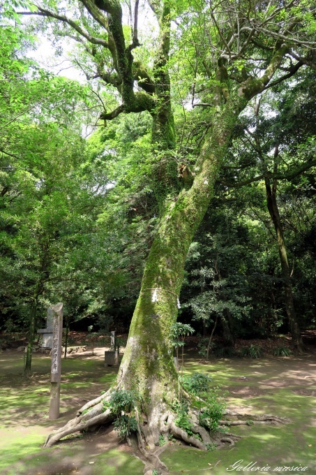 f0351853_18443635.jpg