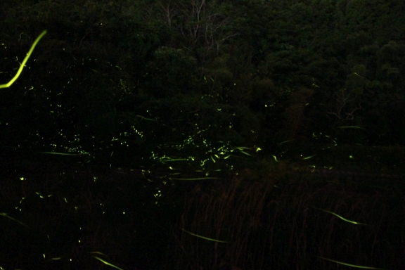 d0153555_19321658.jpg