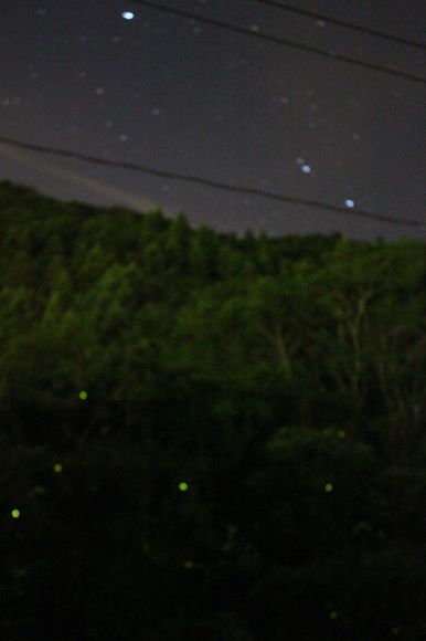 d0153555_19494713.jpg