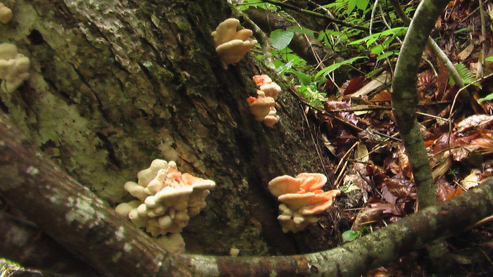 b0208961_14424121.jpg