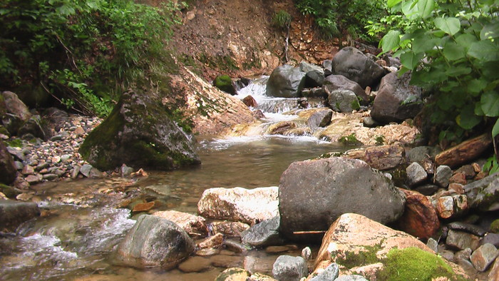 b0208961_17443945.jpg