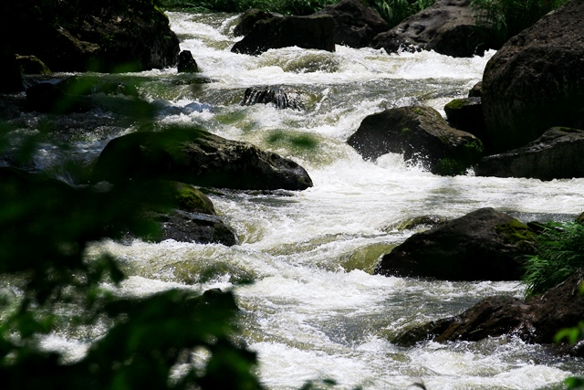 d0126577_20223260.jpg