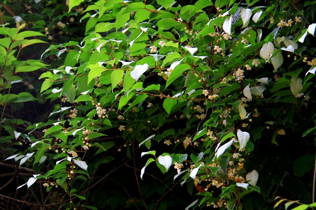 d0126577_20273663.jpg