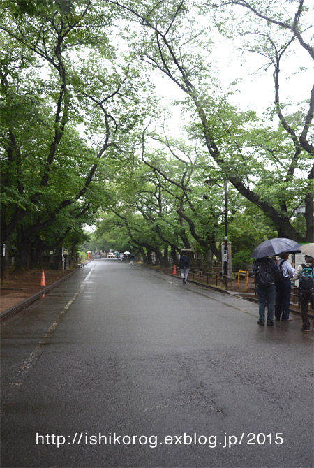 a0223379_239221.jpg